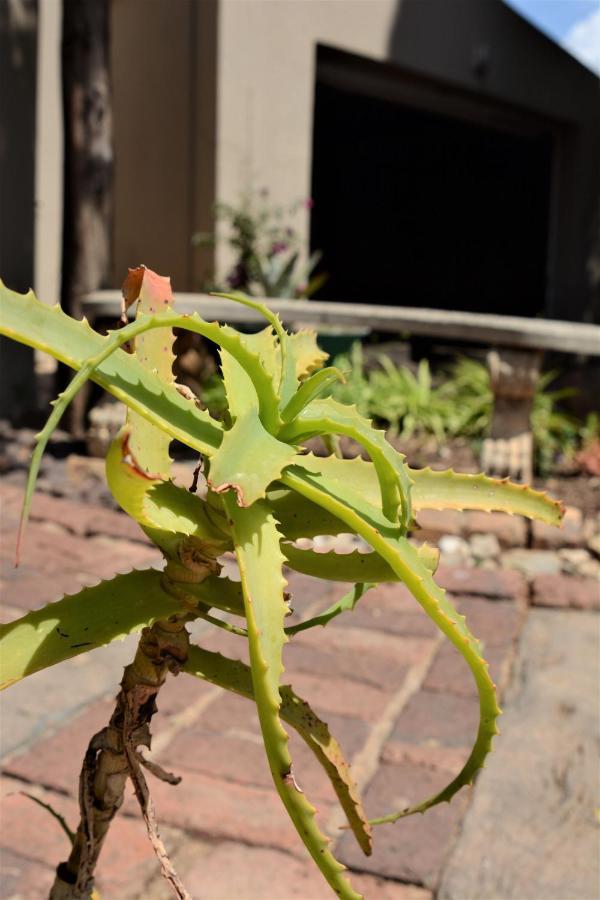Pta East Guest House Pretoria-Noord Kültér fotó